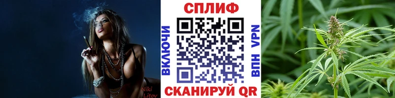 Купить наркотики цена Ковылкино Канабис Мефедрон NBOMe Псилоцибиновые грибы ГАШ Alpha-PVP