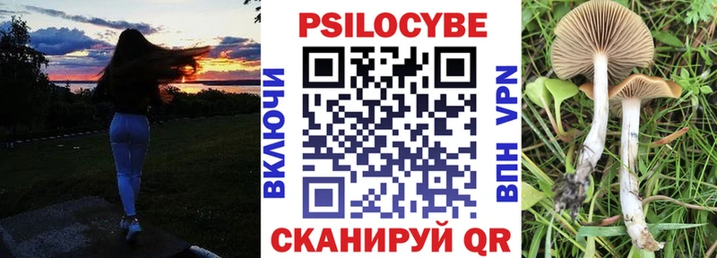 МЕГА как зайти  Ковылкино  Галлюциногенные грибы Psilocybine cubensis  где купить наркоту 
